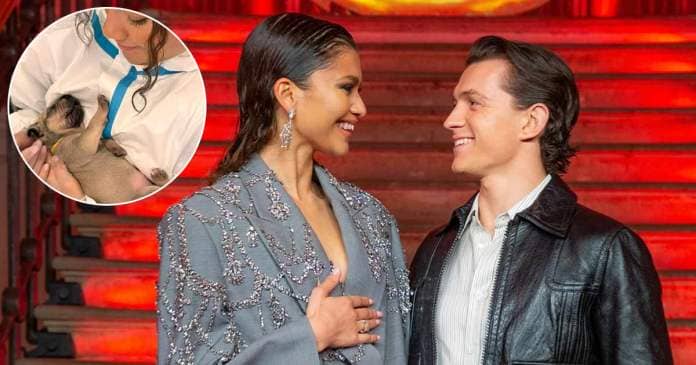 Tom Holland & Zendaya Doing Cute Couple Things Together Breaks The Internet! Spider-Man Actor Turns Photographer For His Girlfriend As She Snuggles Cute Puppies