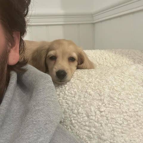 <p>Scott Disick/Instagram</p> The reality TV star bought the pup for daughter, Penelope