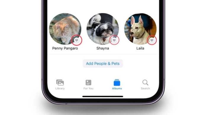 Pinning your pets to the top of the page