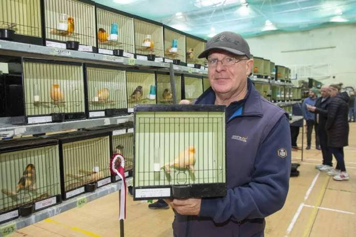 John Byrne at the Arklow & District Birdkeepers Society's annual show in the Coral Leisure Centre, Arklow. Photo: Michael Kelly