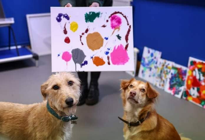 Rescue dogs Alba and Rosie have taken to painting to raise money for a UK animal charity (HENRY NICHOLLS)