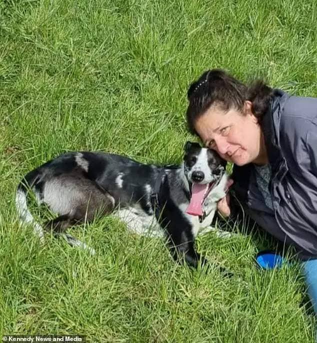 Lindsey Thwaites, 51, blamed her discomfort on painful piles, but after her dog Brian kept sniffing her bum, she booked an appointment with her GP and eventually received a cancer diagnosis