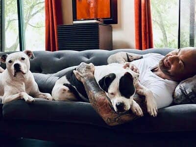 In honor of #GivingTuesday, Dave Bautista, actor, animal advocate, and dog dad, is collaborating with the ASPCA to raise awareness and encourage support for vulnerable animals throughout the holiday season. 

Dave is the proud dad of four adopted pit bulls—Ollie, Maggie, Penny, and Talulah—and is a consistent champion for the breed, adopting his first two dogs five years ago.