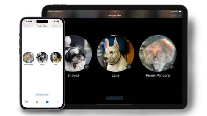 Tagging your pets in iOS 17 and iPadOS 17