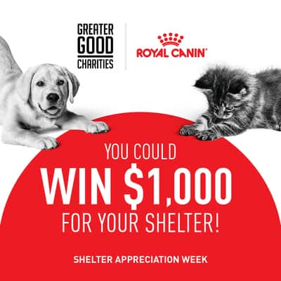 Royal Canin U.S., a division of Mars, Incorporated and leader in pet health nutrition, is offering local shelters a chance to win a $1,000 grant in honor of National Shelter Appreciation Week.