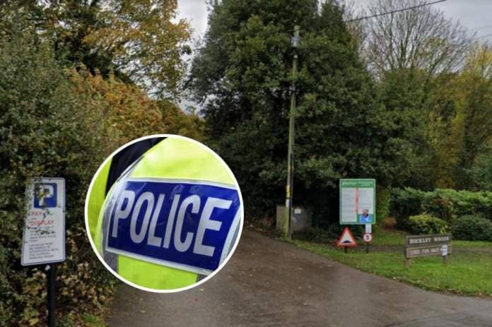 Runner 'bitten by dog' in Hockley Woods incident as police appeal to find owner <i>(Image: Google / Stock image)</i>