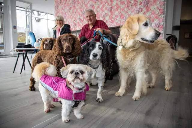 Chloe Wheeler and her family have opened a dog friendly cafe in Southsea, offering a host of dog related activities and refreshments for their owners.

Pictured - Peter Marshall and Cathy Knight with dogs Betsy, Rosie, Poppy, Spencer, gibbs and Jasper

Photos by Alex Shute