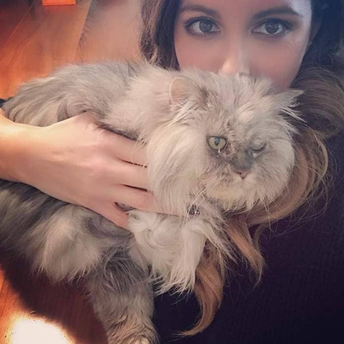 Kate Beckinsale has also been pictured with a Persian cat