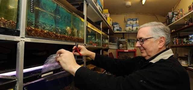 Ken Galloway from the Pet Shop putting the last delivery of fish in the tanks (Pic: Fife Photo Agency)