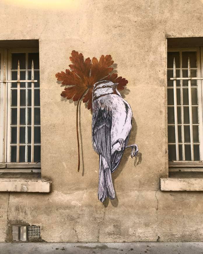 a wheatpaste of a bird and a brown leaf on a yellow wall between two windows