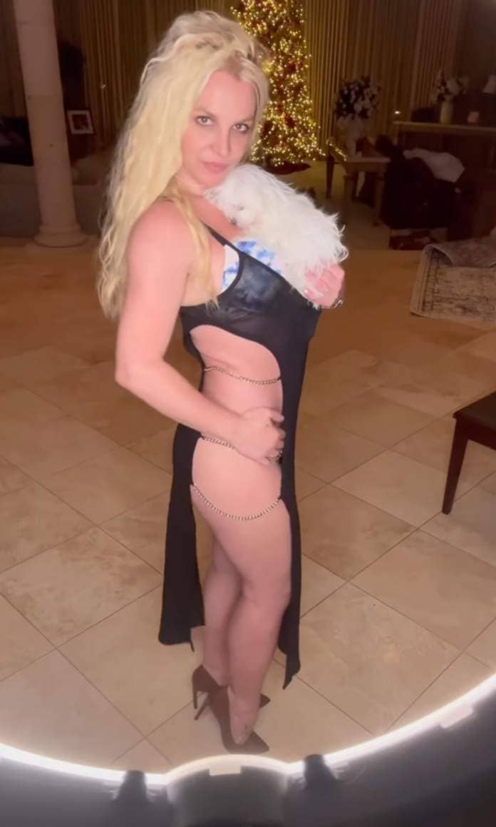 Britney Spears holding a dog.