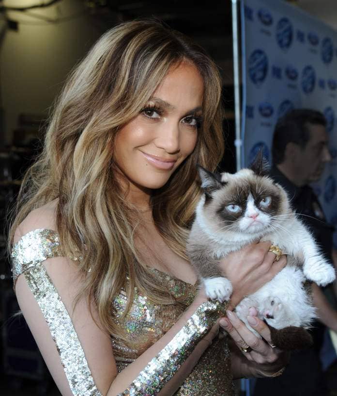 Flat-faced felines surged in popularity after a Persian mix nicknamed Grumpy Cat went viral in the 2010's and was snapped with stars including Jennifer Lopez