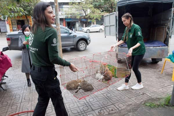 Claudia Edwards, HSI/Mexico, and??Nicole??Jaworski, HSI, carry cats out of the slaughterhouse. The cats were transported by truck to a cat shelter at the Thai Nguyen University of Agriculture and Forestry.