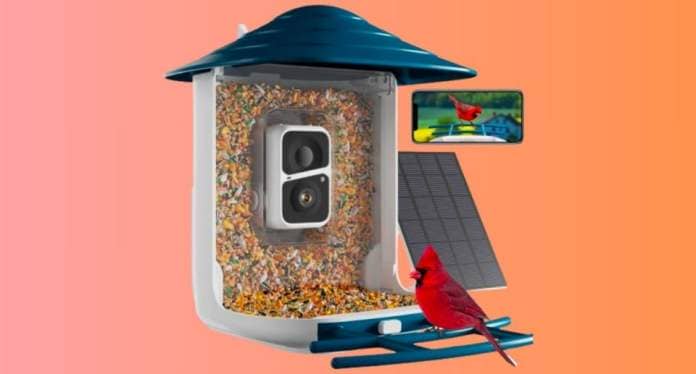 the smart bird feeder camera against a gradient background