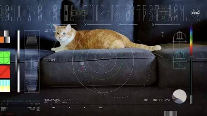 Taters, the orange tabby cat of a Jet Propulsion Laboratory employee, stars in a video beamed from deep space by NASA's Psyche spacecraft. The graphics illustrate several features from the tech demo, such as Psyche’s orbital path, Palomar’s telescope dome, and technical information about the laser and its data bit rate. Tater’s heart rate, color, and breed are also on display.