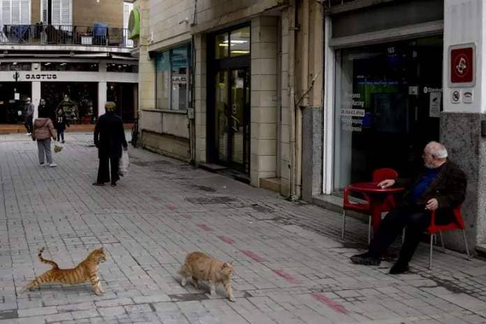 A street scene with an elderly man sitting at an outdoor cafe table, with two ginger cats passing him on the street.