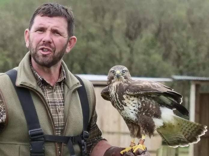 Falmouth Packet: Andy with common buzzard, Echo