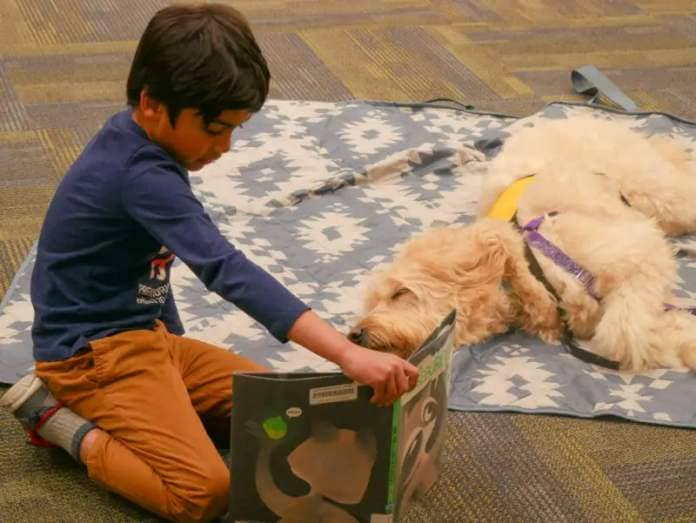 Children in grades K-6 read books to certified therapy dogs to practice their reading skills in a judgmental free zone at the Valencia Library community room on Thursday evening. Katherine Quezada