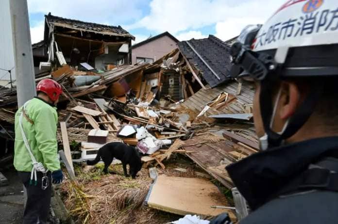 Elsa the rescue dog helps firefighters search for people in quake-hit Wajima (Kazuhiro NOGI)