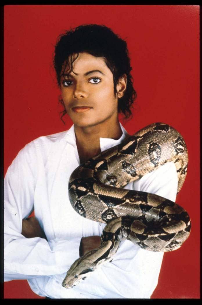 Michael Jackson poses with his pet boa constrictor September 15, 1987
