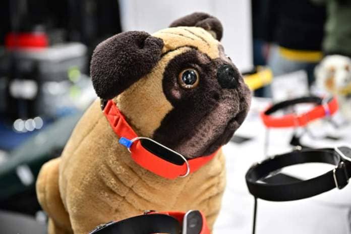 The Minitailz, a smart collar for dogs and cats from Inoxia, at the Consumer Electronics Show in Las Vegas, Nevada (Frederic J. BROWN)