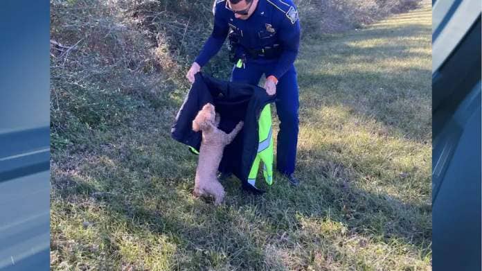 The trooper was able to rescue the missing dog and return the dog, Toby, to his concerned...