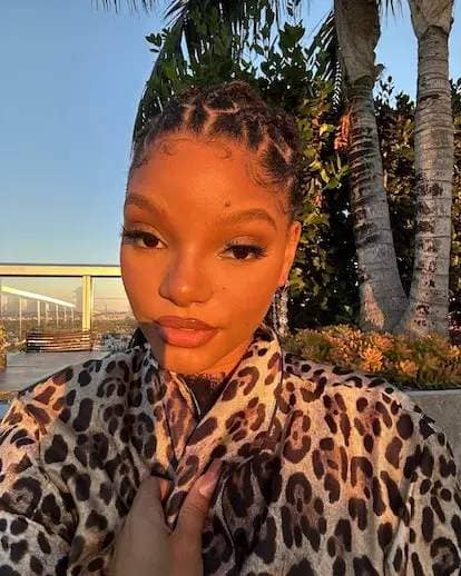 Halle Bailey's milk chocolate velvet manicure is inspiration for cat-eye nails.