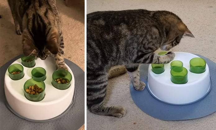 A Clever Interactive Slow Feeder To Excite Your Fur Baby's Natural Instincts, Slow Down Their Nomming And Make Mealtime A Playful Hunt — They'll Be Obsessed.