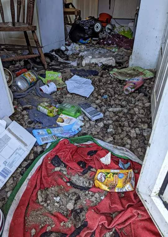 The house was filled with dog waste where Rocky was unable to find food or drink to stay alive (Picture: RSPCA/Solent News)