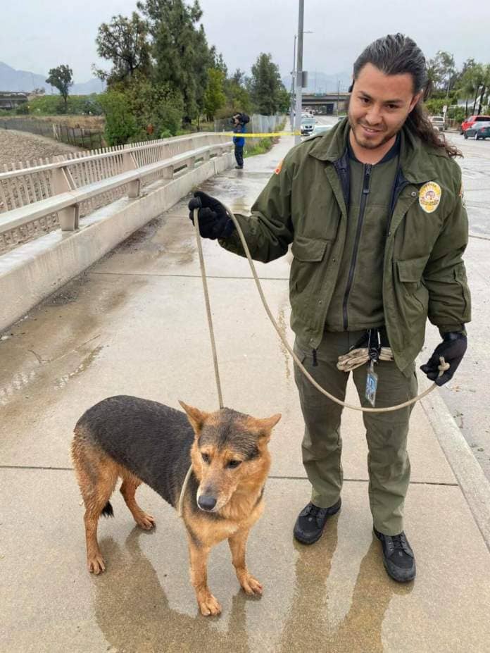A man in a green jacket holds a brown and black dog on a leash on a rain-slicked sidewalk.