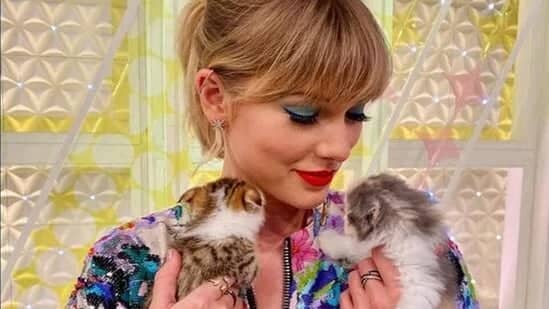 Taylor Swift's love for her cats is well known(Instagram)