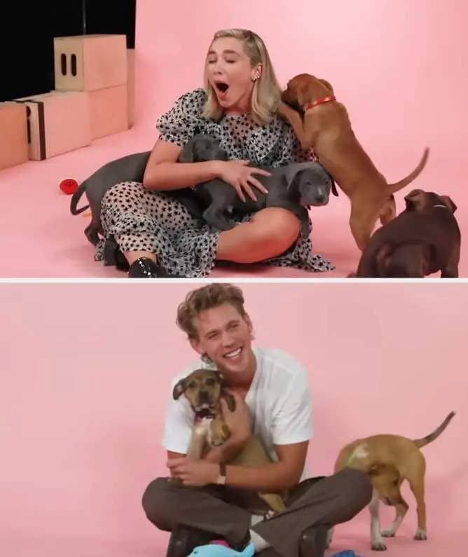 Florence Pugh in polka dot dress with dogs, Austin Butler holding a puppy, both smiling, in a pink studio setting
