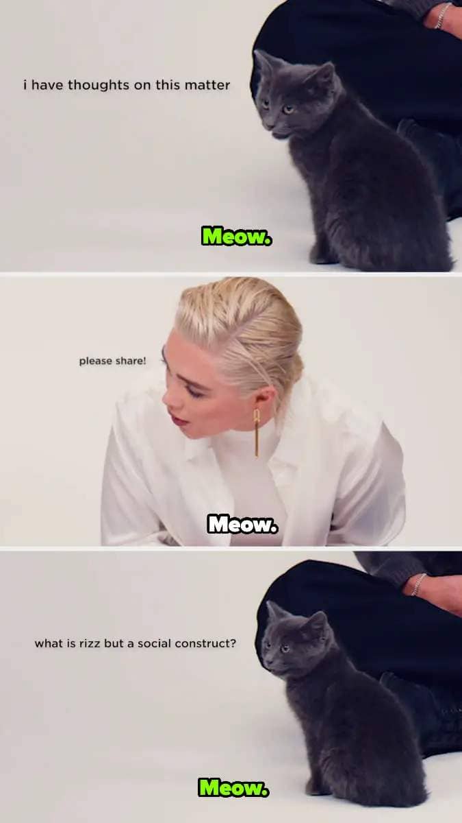 Screenshots of Florence Pugh meowing at a kitten