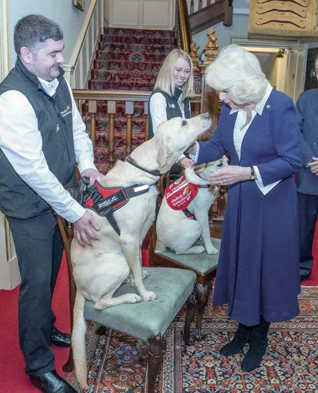 Camilla meets detection dogs Storm and Maggie 
