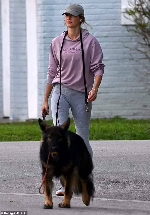 She wore a faded purple Gaia Herbs hoodie, and placed a gray billed cap over her long blonde hair as she stepped out with her beloved pooch Friday in the city of Surfside