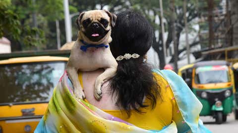 A woman with her pet dog (K Sunil Prasad/TOI, BCCL, Bengaluru)