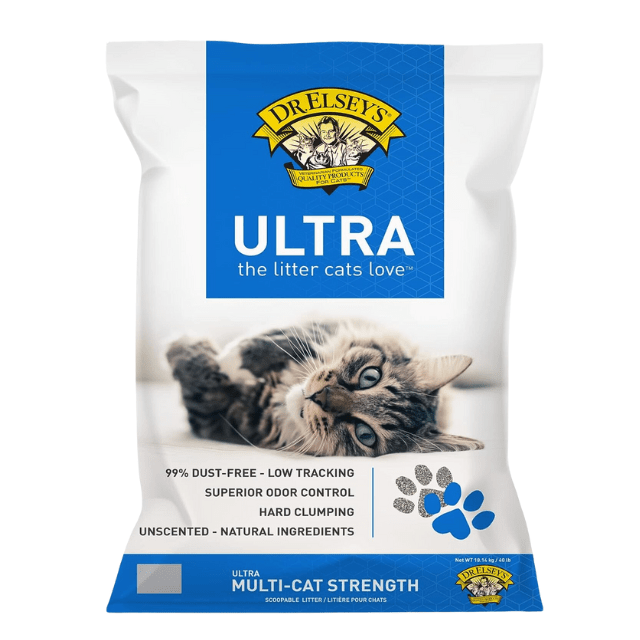11 Best Cat Litters for Odor Control, Expert-Approved in 2024