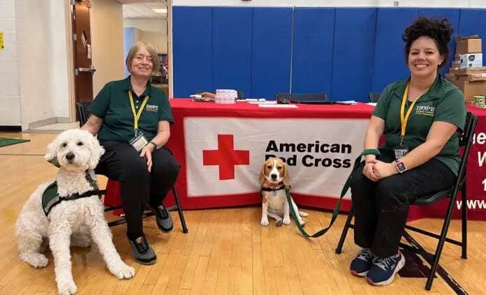 Cherie Mossing and her therapy dog Lexi join Cheyanne Leeds and her beagle, Tiana, for a photo in an emergency shelter at San Diego's Balboa Park on Feb. 4, 2024. The shelter temporarily housed 270 people displaced by intense flooding in San Diego. [Cherie Mossing]