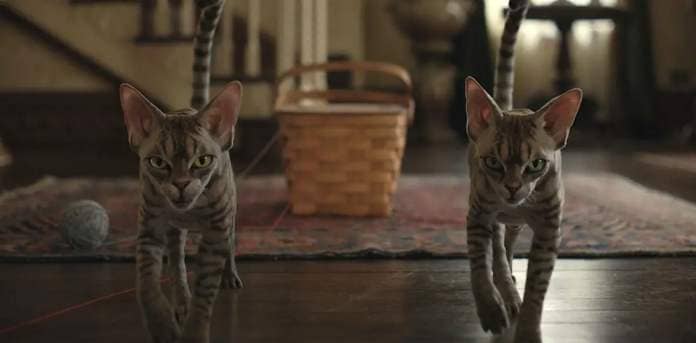 Two striped CG cats with big pointed gremlin ears and malicious expressions stalk toward the camera in Disney’s live-action version of Lady and the Tramp