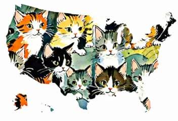 US map of cats.