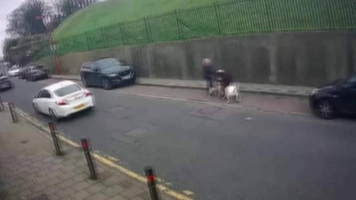 CCTV footage shows the large, white dog carrying out the attack
