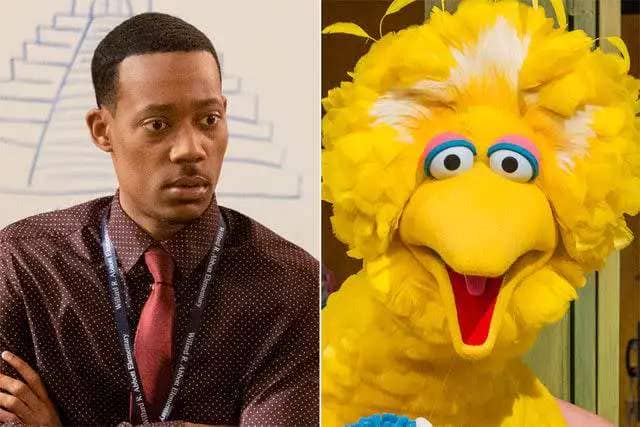 <p>Liliane Lathan/ABC via Getty Images; HBO</p> Tyler James Williams and Big Bird (with head)