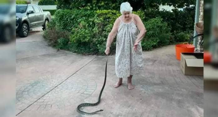 The woman, 80, who got three 'nasty' snake bites stands in her Lennox Head driveway holding the tail of the carpet python. 