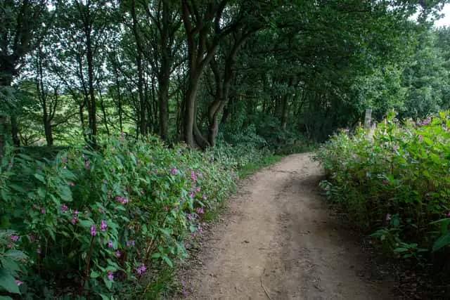 It’s the fourth time a deceased cat is reported to have been found in suspicious circumstances at Black Carr Woods in Pudsey.