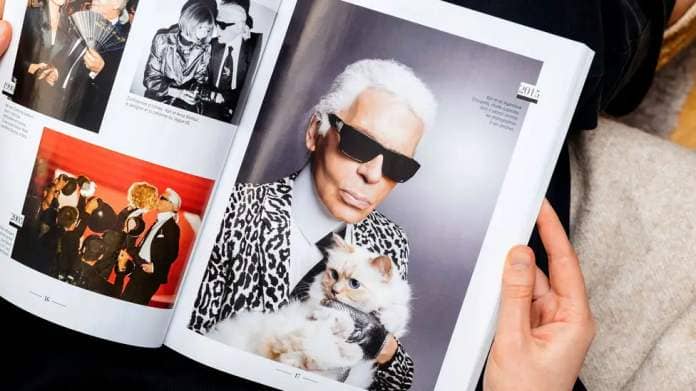 Karl Lagerfeld's cat Choupette reportedly earned €3m (£2,558,207) in 2014 (Credit: Alamy)