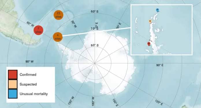A map showing sites in Antarctica where avian flu is suspected.