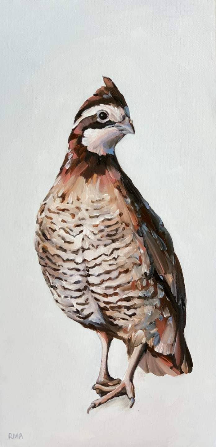 Oil Portrait of a Bird by Rachel Altschuler