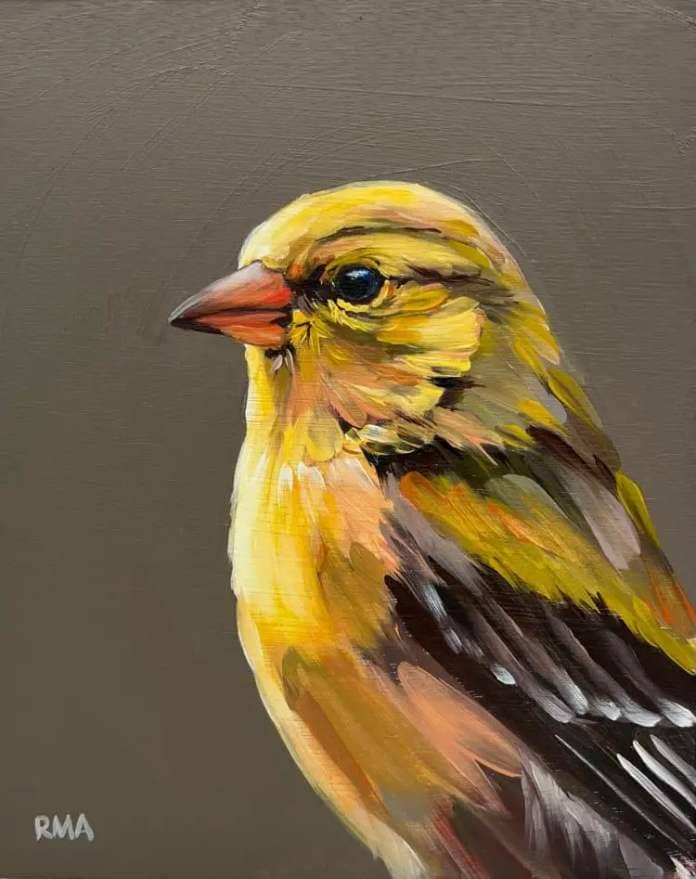 Bird art by Rachel Altschuler