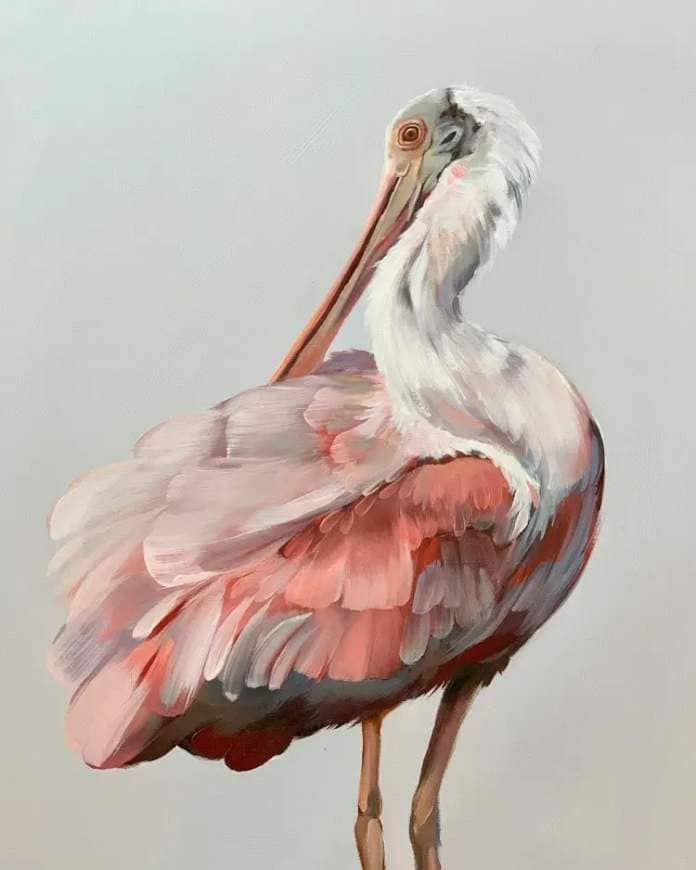 Oil painting of a spoonbill by Rachel Altschuler