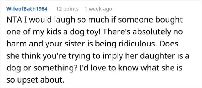 Sibling Buys Sister's Toddler A Dog Toy, She Freaks Out